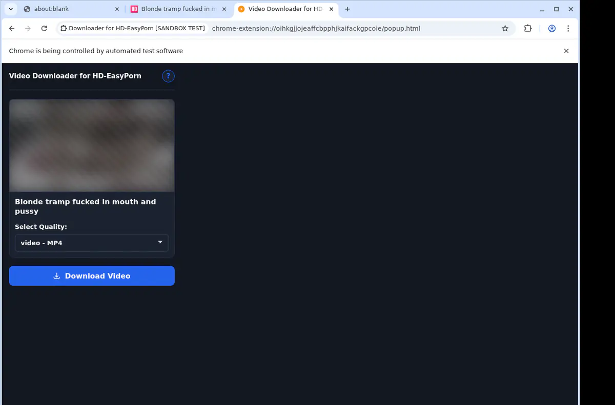 Hdeasyporn Video Downloader browser extension screenshot 4